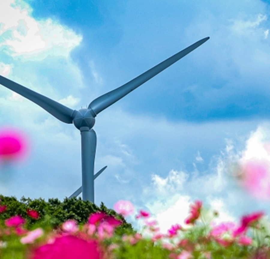 風力発電の写真